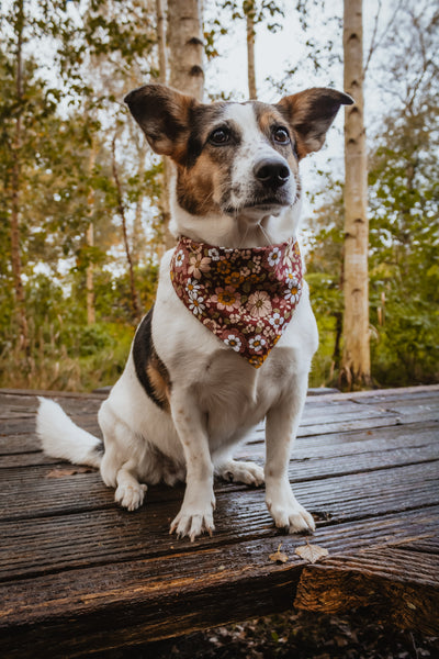 “Burgundy Bloom” dog bandana