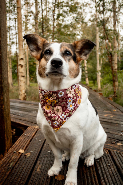 “Burgundy Bloom” dog bandana