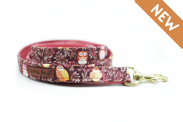 "Obsessed with Owls" dog leash