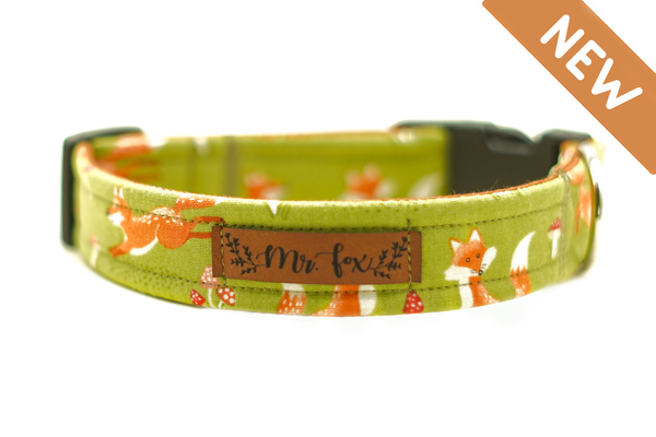 "Fabulous Fox" collar for dogs