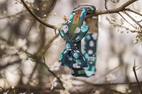 "Enchanting Eucalyptus" bow tie for dog collars