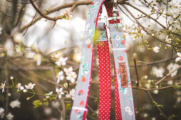 “Sweet Strawberries” dog leash