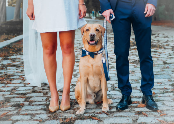 "Wedding Vibes" Hochzeits-Fliege für Hundehalsbänder (Farbauswahl)