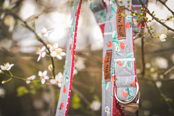 “Sweet Strawberries” dog leash