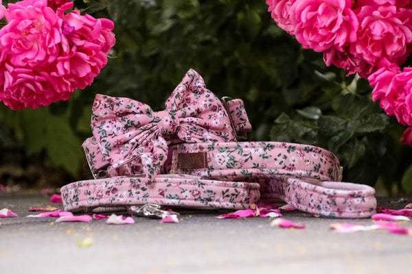 "Fairy Flowers" sailor bow for dog collars