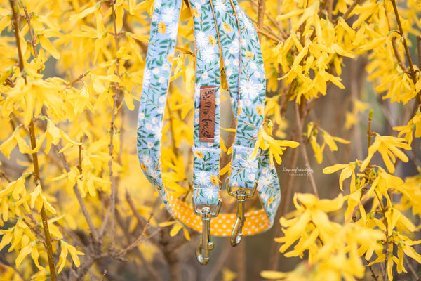 "Blue Bliss" Hundeleine