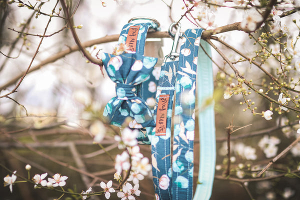 "Enchanting Eucalyptus" dog leash
