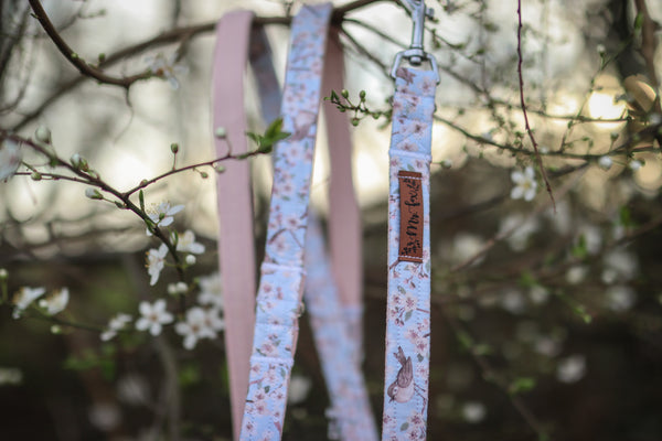 "Birds & Blossoms" Hundeleine