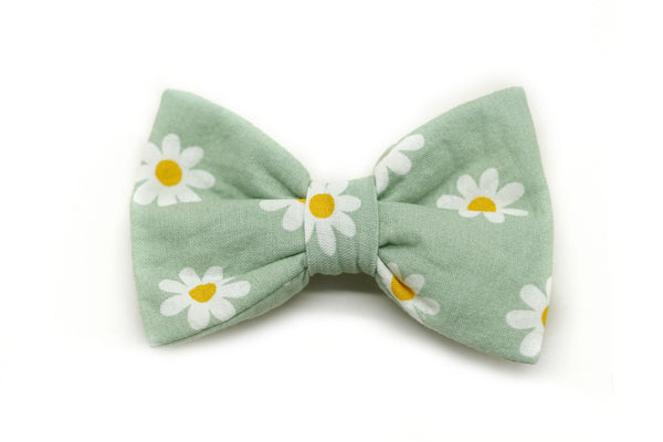 "Daisy Dream" bow for dog collars