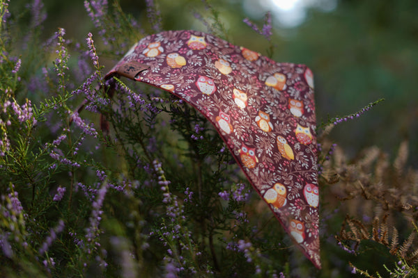 "Obsessed with Owls" Hundehalstuch