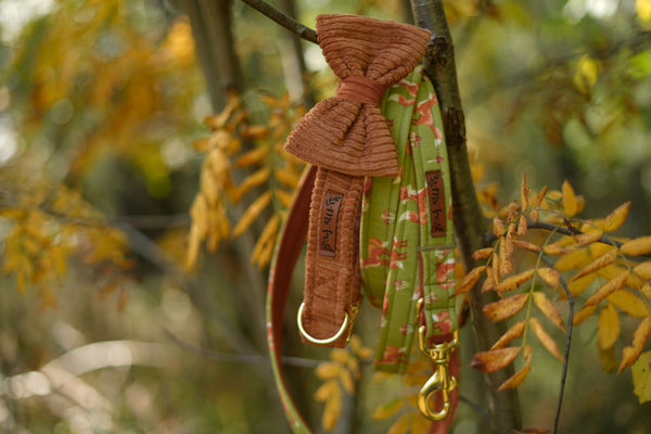 "Cognac Cord" bow tie for dog collars