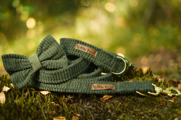 "Moss Cord" Fliege für Hundehalsbänder