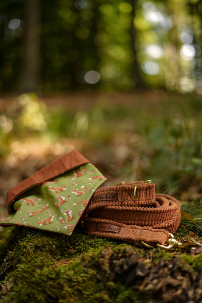 "Cognac Cord" Hundeleine