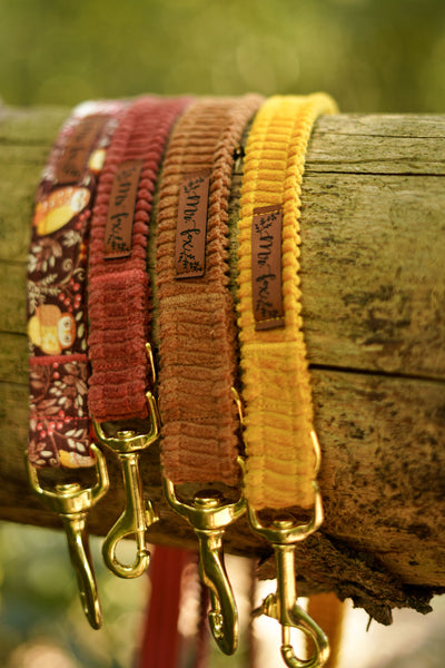 "Sunflower Cord" Hundeleine