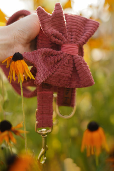 "Berry Cord" Schleife für Hundehalsbänder