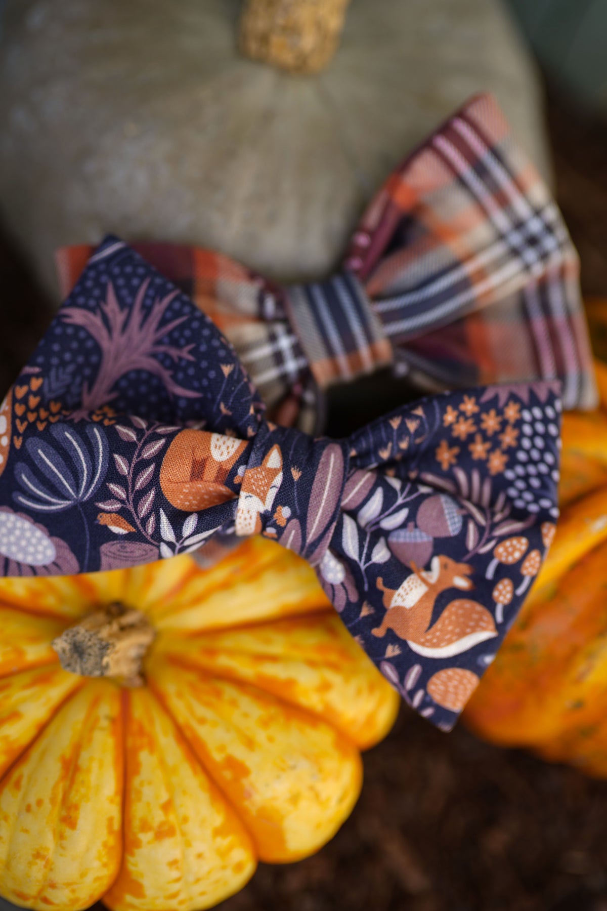 "Fox Fables" bow tie for dog collars