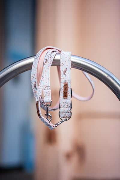 "Birds & Blossoms" Hundeleine