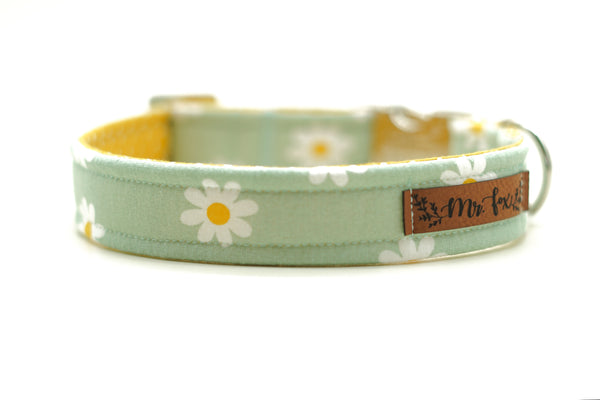 "Daisy Dream" Halsband für Hunde