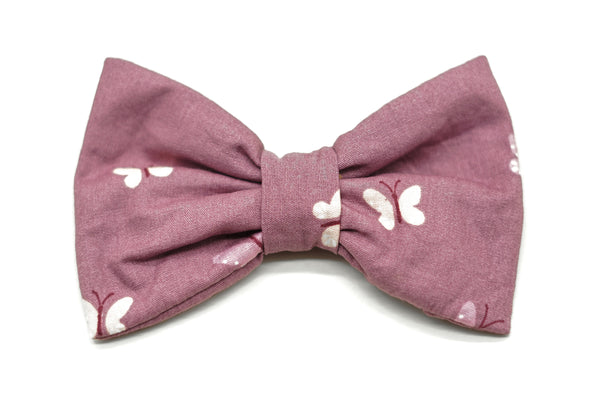 "Butterfly Beauty" bow tie for dog collars