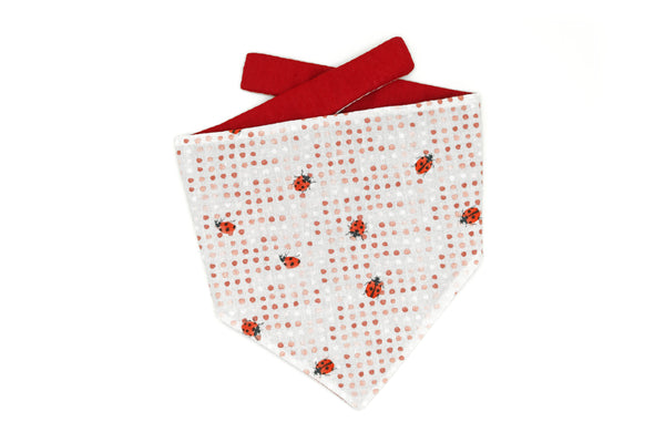 "Lucky Ladybugs" Hundehalstuch