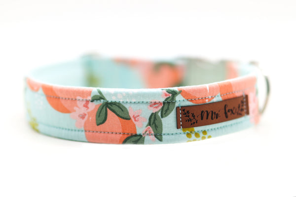 "Perky Peaches" Collar