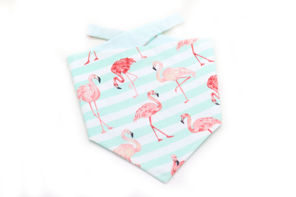 READY TO MAKE "Funky Flamingos" Hundehalstuch (verschiedene Größen)