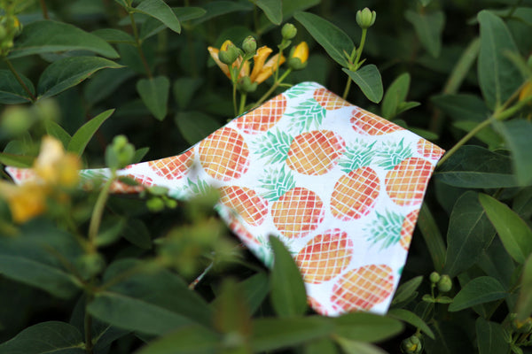 "Playful Pineapples" Hundehalstuch (S)