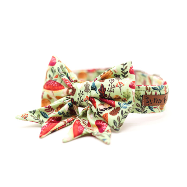 "Happy Harvest" Schleife für Hundehalsbänder