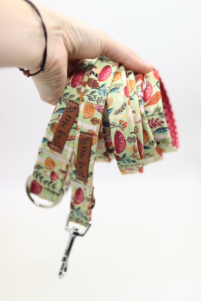 "Happy Harvest" Halsband für Hunde