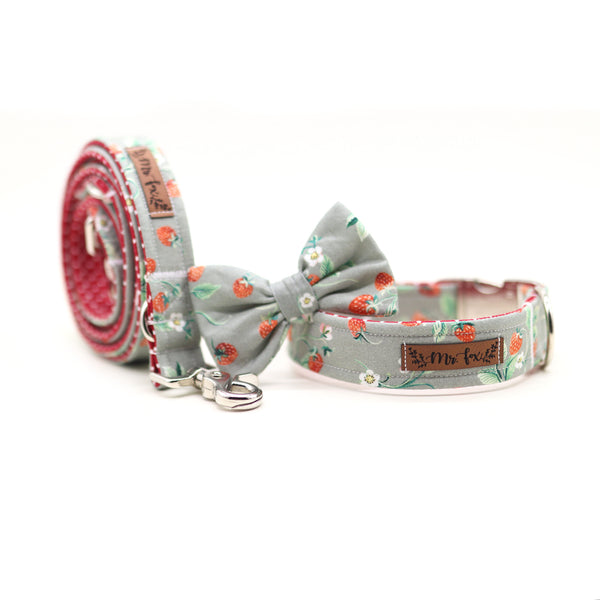 “Sweet Strawberries” dog leash