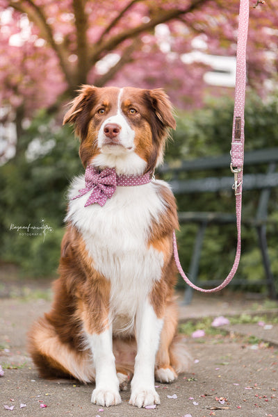 "Mauve Polkadot" Hundeleine