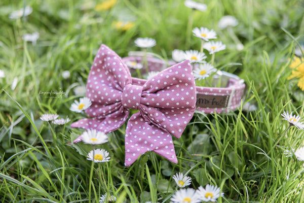 "Mauve Polkadot" Halsband für Hunde