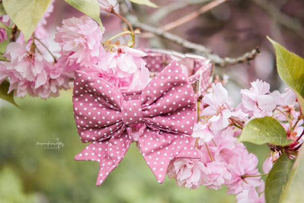 "Mauve Polkadot" Schleife für Hundehalsbänder