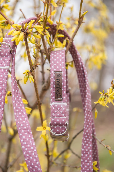 "Mauve Polkadot" Halsband für Hunde