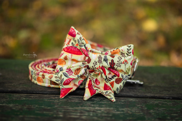 "Happy Harvest" Schleife für Hundehalsbänder