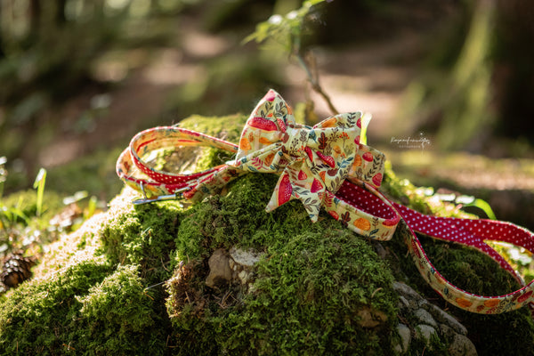 "Happy Harvest" Schleife für Hundehalsbänder