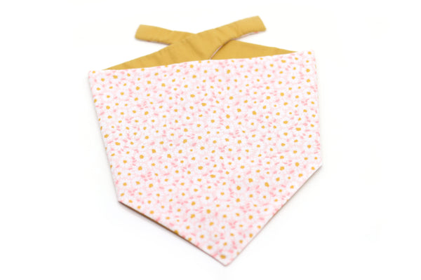 "Darling Daisy" Hundehalstuch