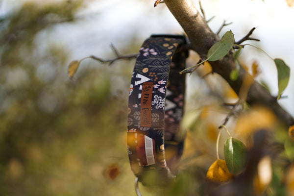 "Comfy Camping" collar for dogs