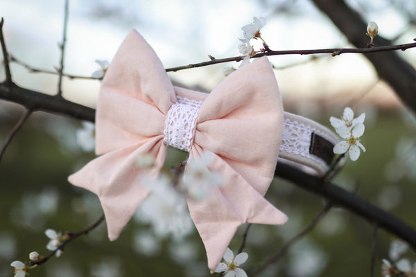 "Wedding Vibes" Hochzeits-Schleife für Hundehalsbänder (Farbauswahl)