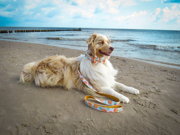 "Playful Pineapples" Fliege