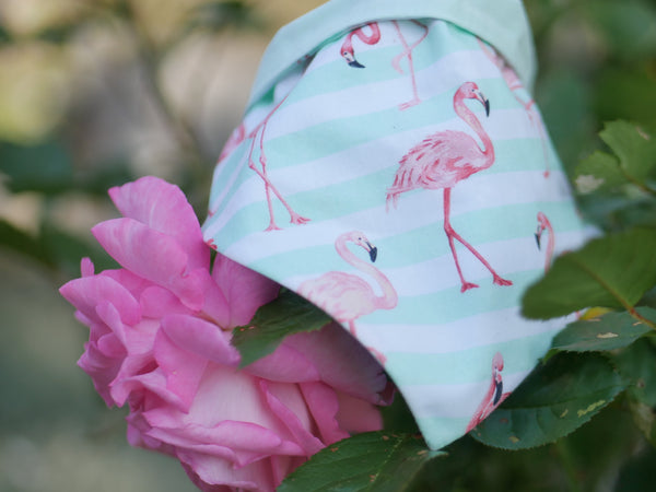 READY TO MAKE "Funky Flamingos" Hundehalstuch (verschiedene Größen)