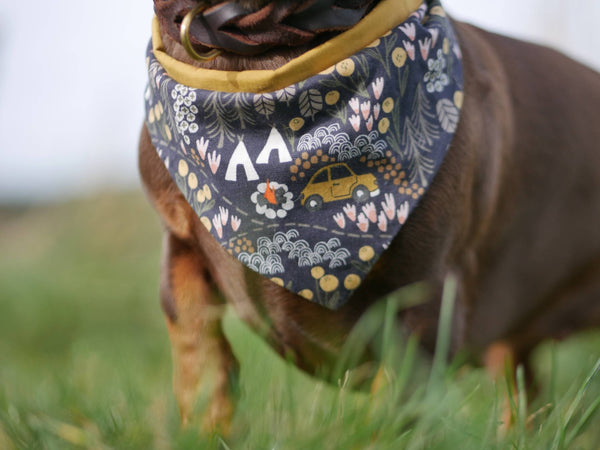 “Comfy Camping” dog bandana