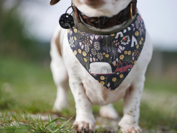 “Comfy Camping” dog bandana