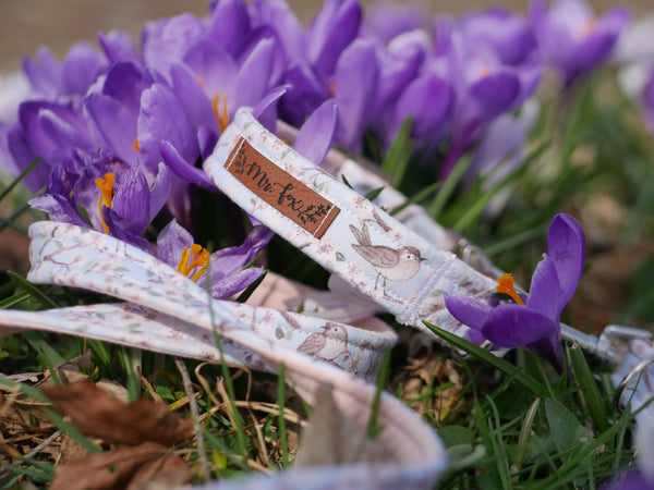 "Birds & Blossoms" Hundeleine