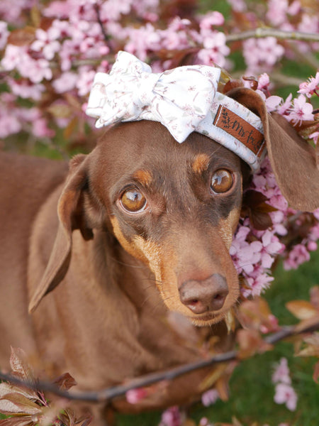 "Birds & Blossoms" Fliege für Hundehalsbänder