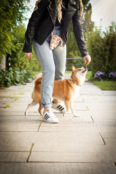 Polkadot Futterbeutel (Farbauswahl)