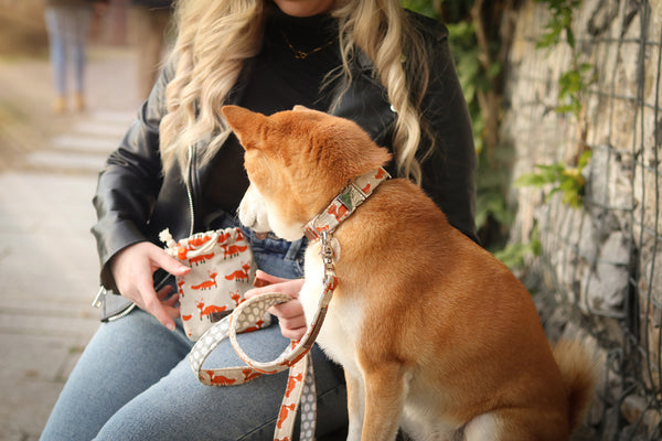 Uni Futterbeutel (Farbauswahl)