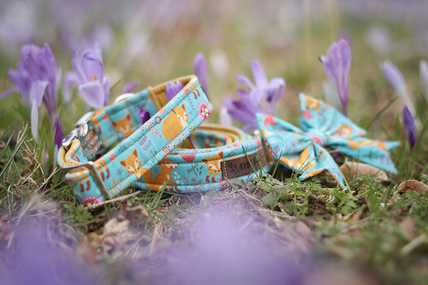 "Fox & Flowers" dog leash