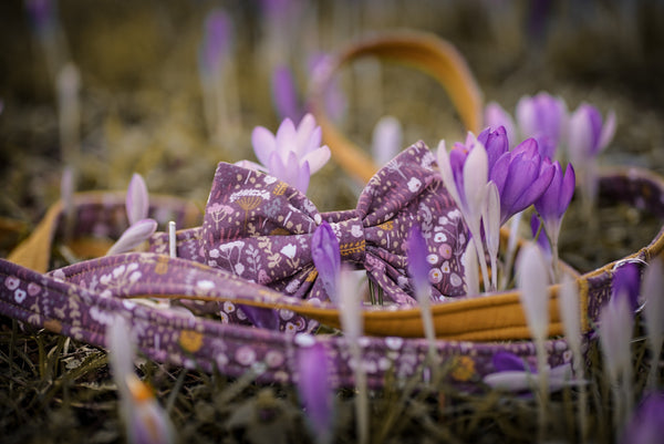 "Boho Bloom" Halsband für Hunde