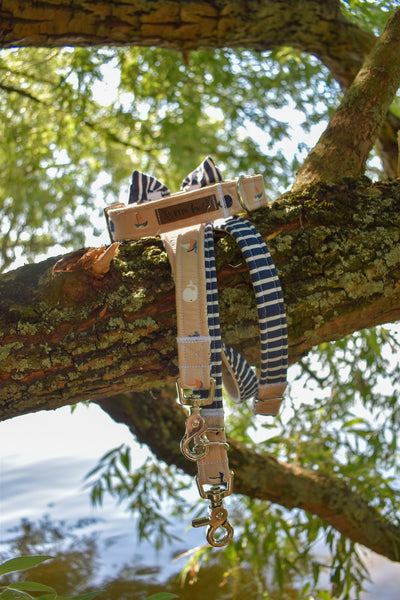 "Salty Sea" collar for dogs